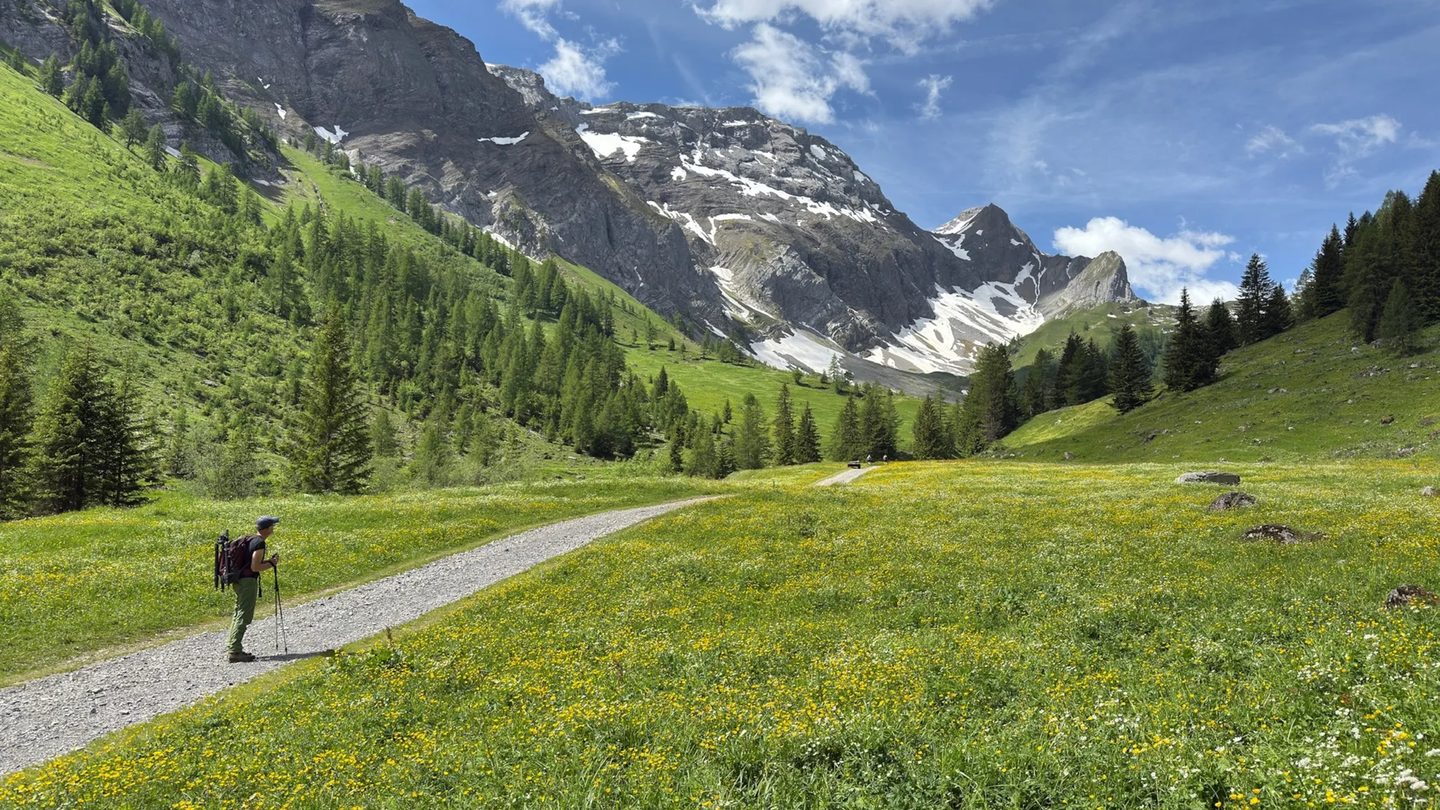 A member of the Soul Retreat team hiking with capture gear through an Alpine meadow